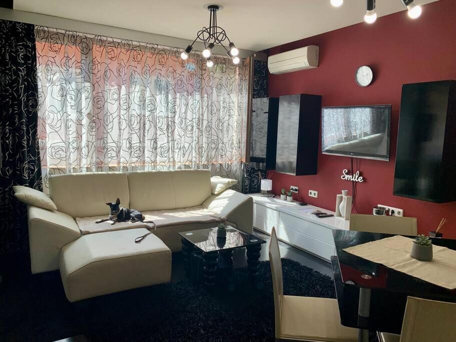 Lovely Sofia Apartment Katerina With Free Parking ภายนอก รูปภาพ